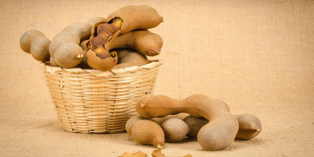 Fluorid ausleiten mit Tamarinde & 5 anderen Hausmitteln