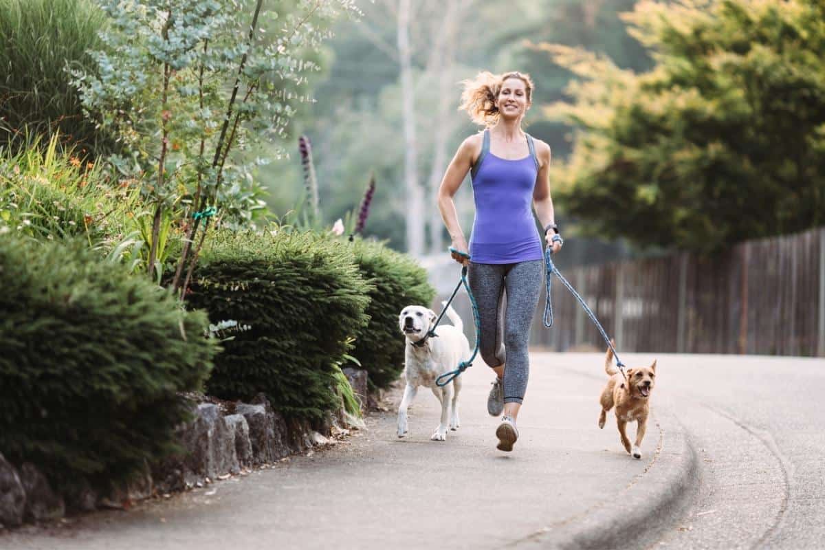 Frau joggt Hunde Fitnesstrainer auf vier Pfoten Spaziergang körperlich gesund Training