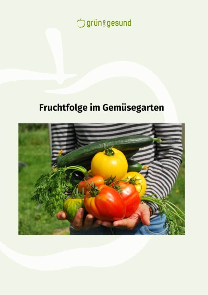Fruchtfolge Gemüsegarten Tabelle (PDF) jetzt gratis downloaden!