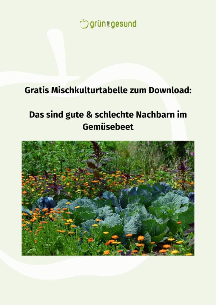 Gute Nachbarn & schlechte Nachbarn im Garten Tabelle PDF