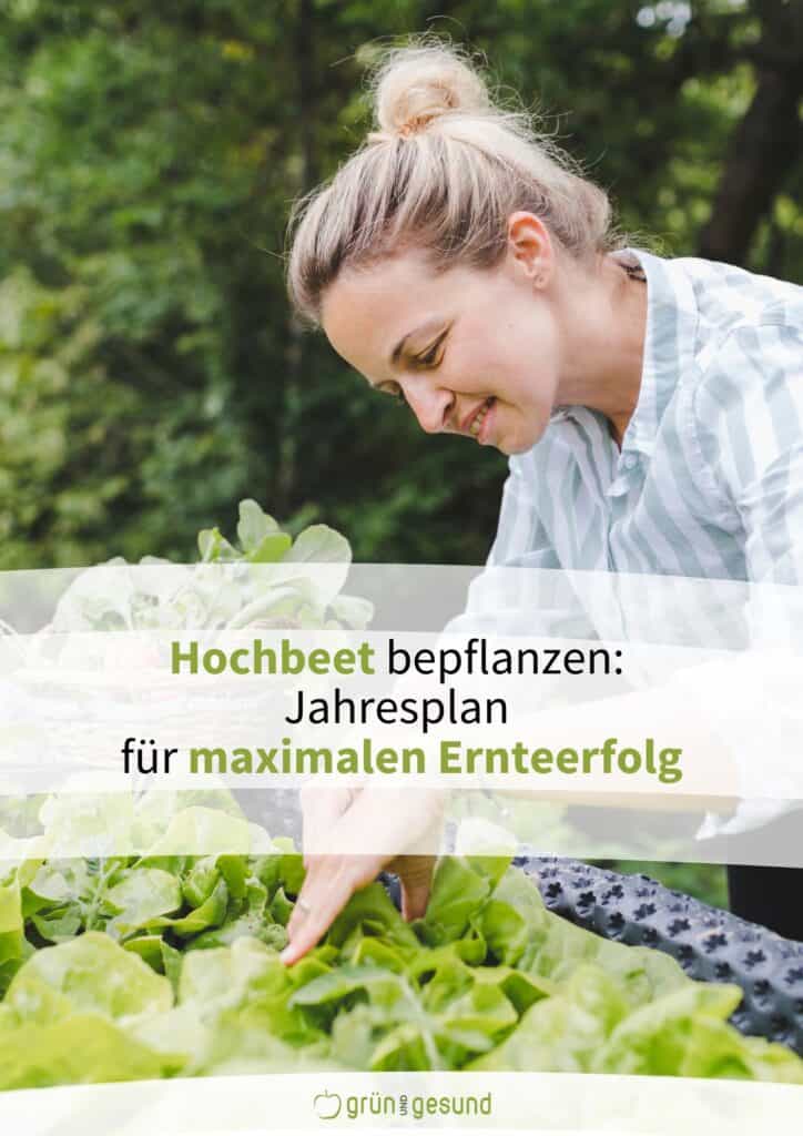 Hochbeet bepflanzen Jahresplan (PDF) jetzt gratis downloaden!