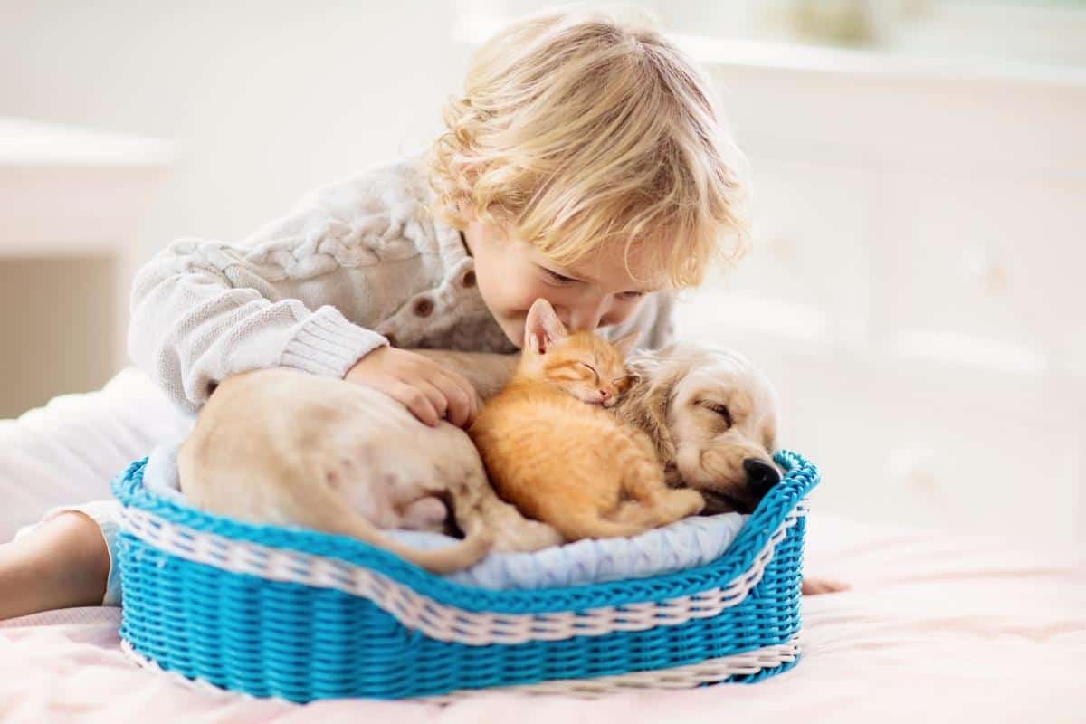 Kind Hund und Katze Haustier Verantwortungsbewusstsein bester Freund
