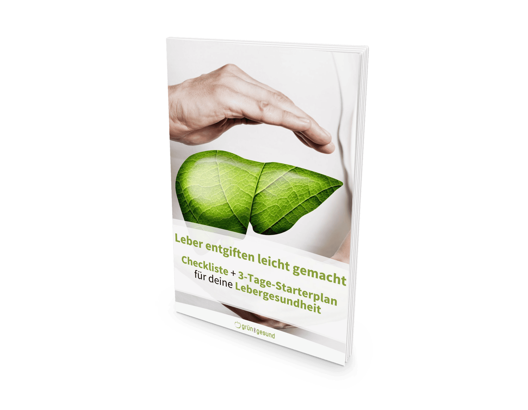 Leber-entgiften_Mockup