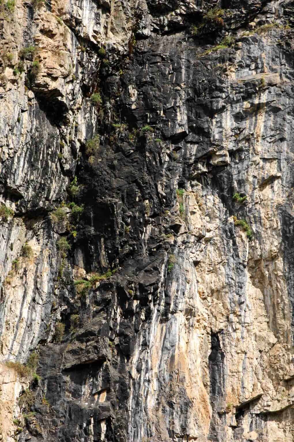 Mumijo shilajit was ist das geheimnisvolle naturwunder 