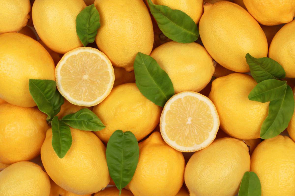 Zitronenöl selber machen frische Zitronen