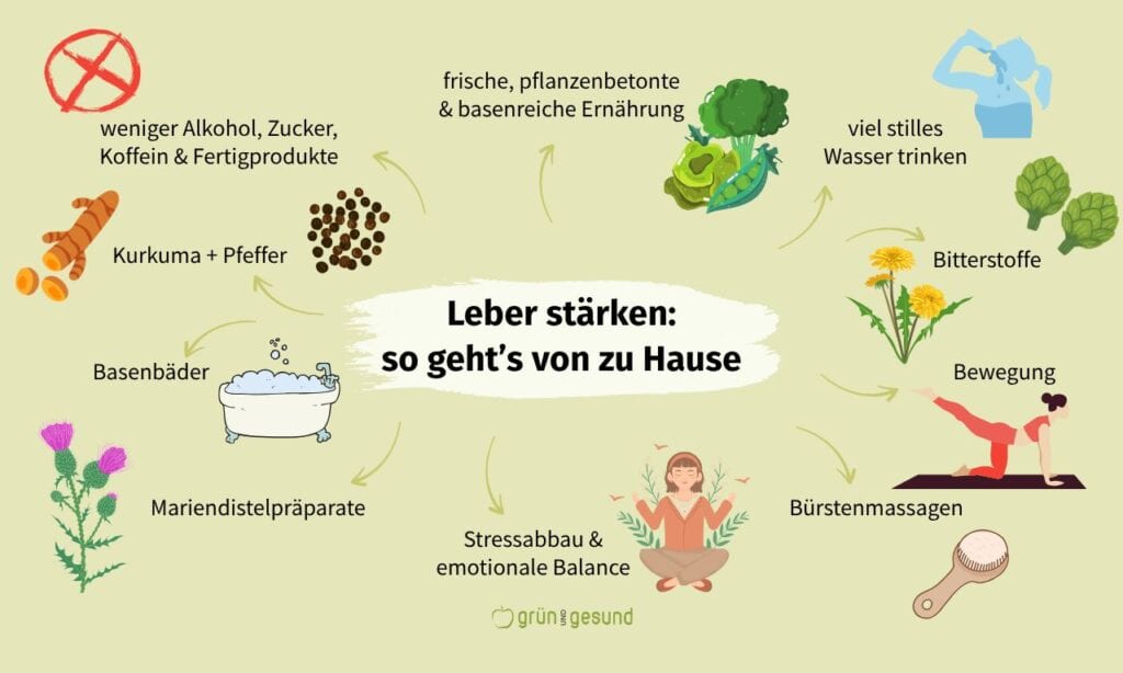 übersicht hausmittel um leber zuhause zu entgiften und zu stärken