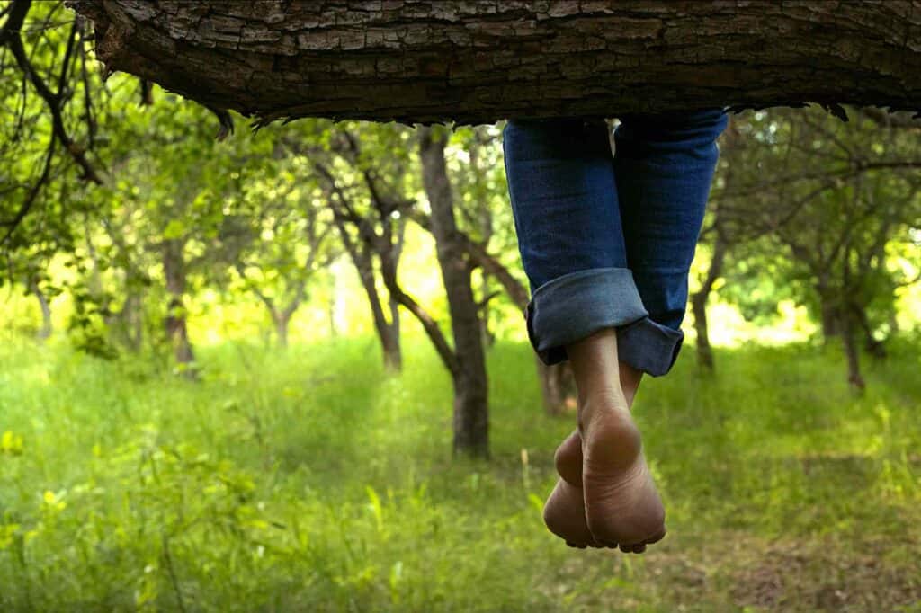 ohne stress in der natur baumelt frau im wald fuesse vom baum