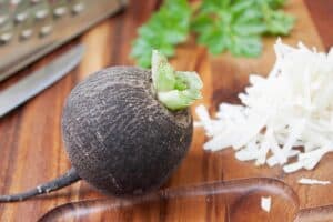 Keime Rettich Rettich fermentieren: Einfaches & schnelles Rezept