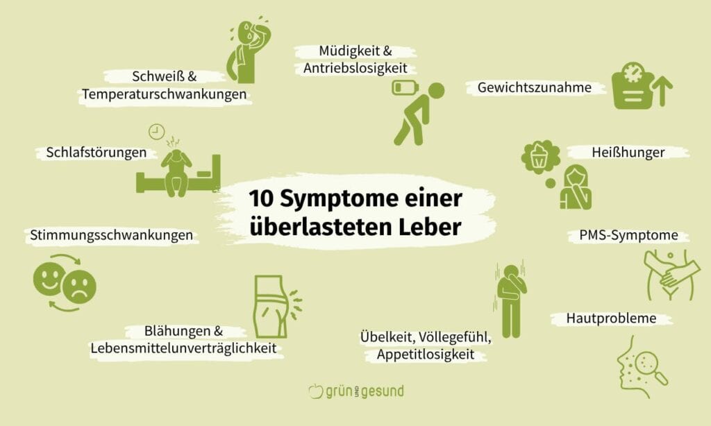 Übersicht typischer Symptome überlastete Leber