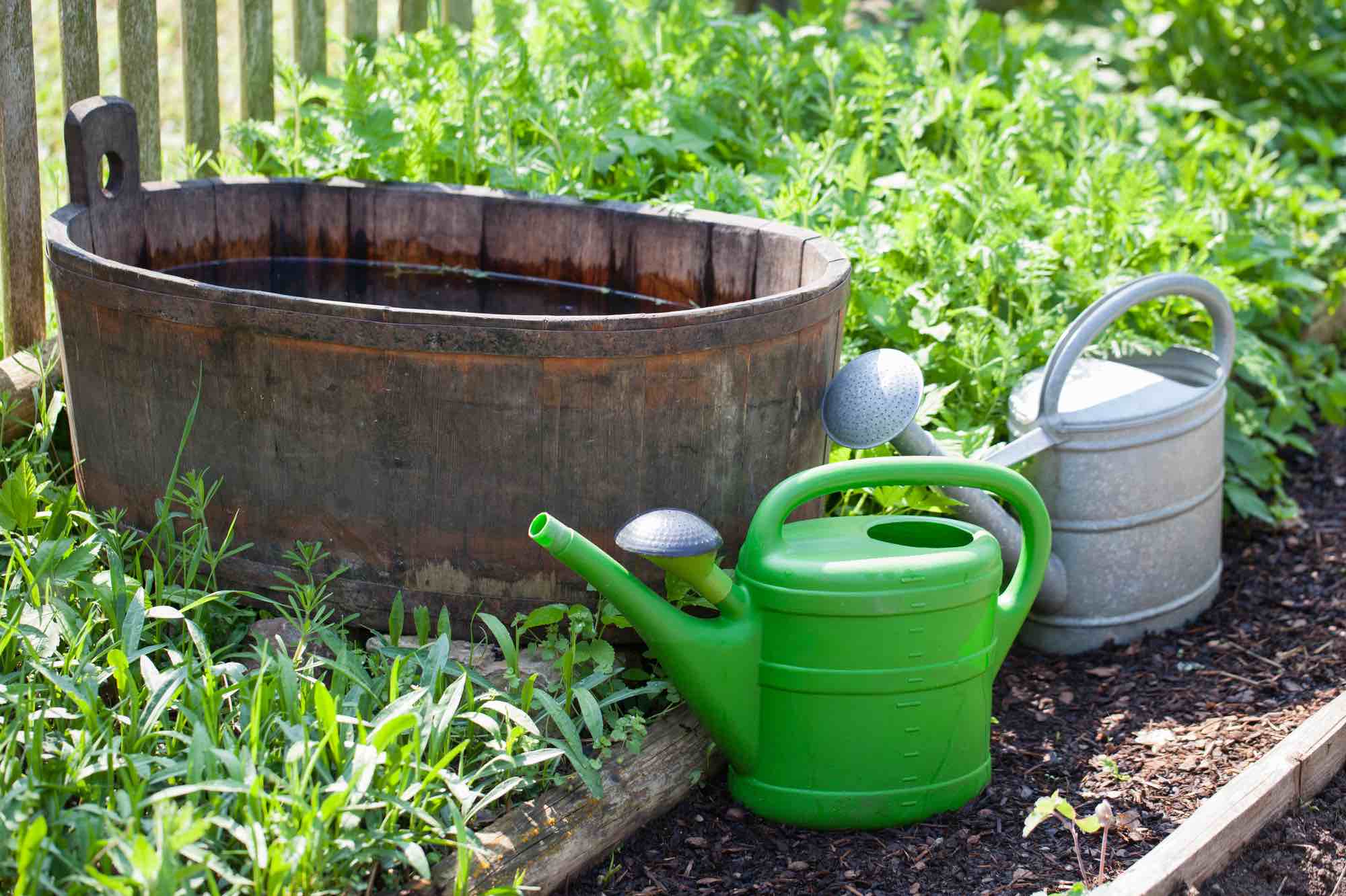 wasserversorgung im garten mit regenwassertonne und giesskannen